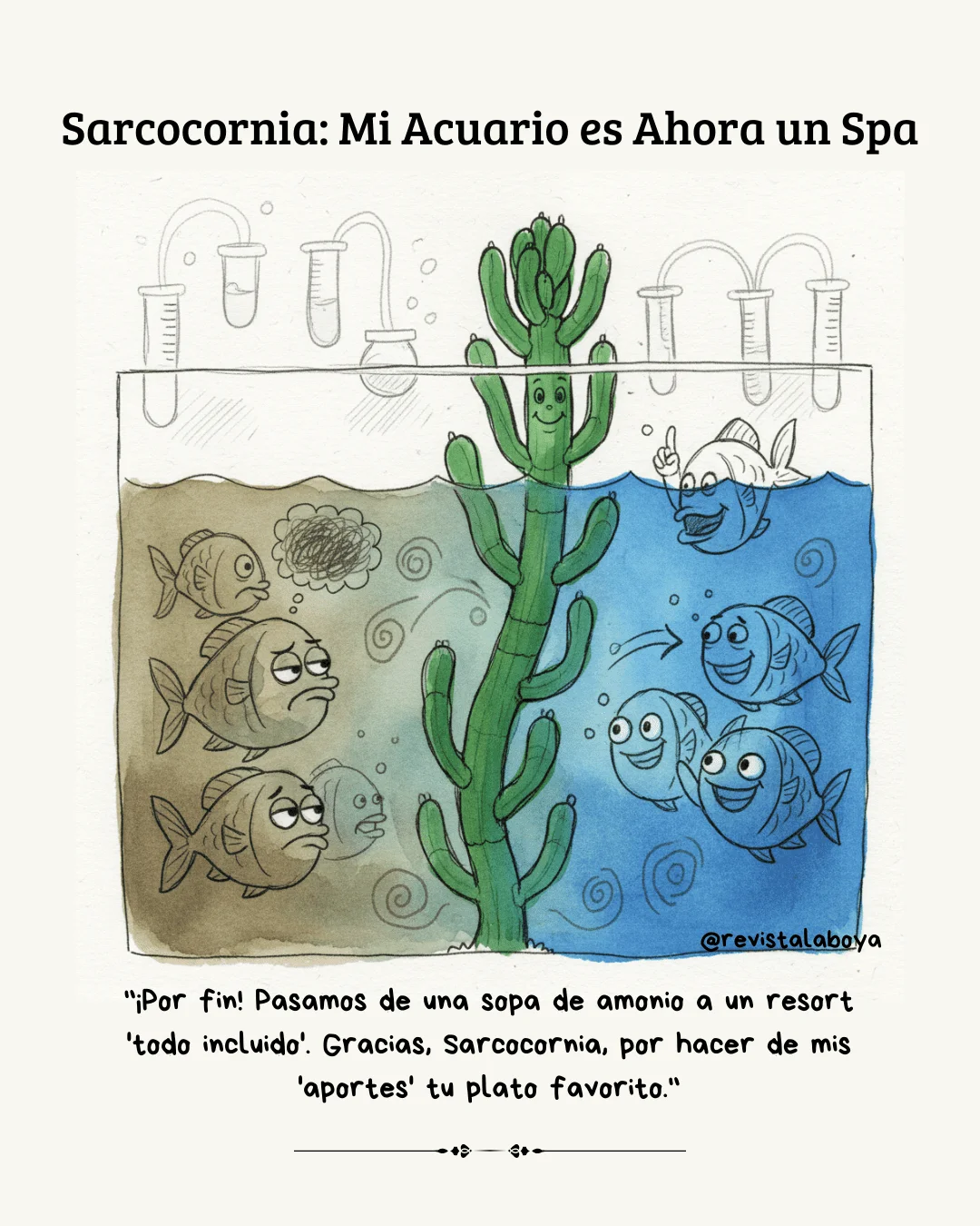 Sarconia
