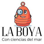 laboya